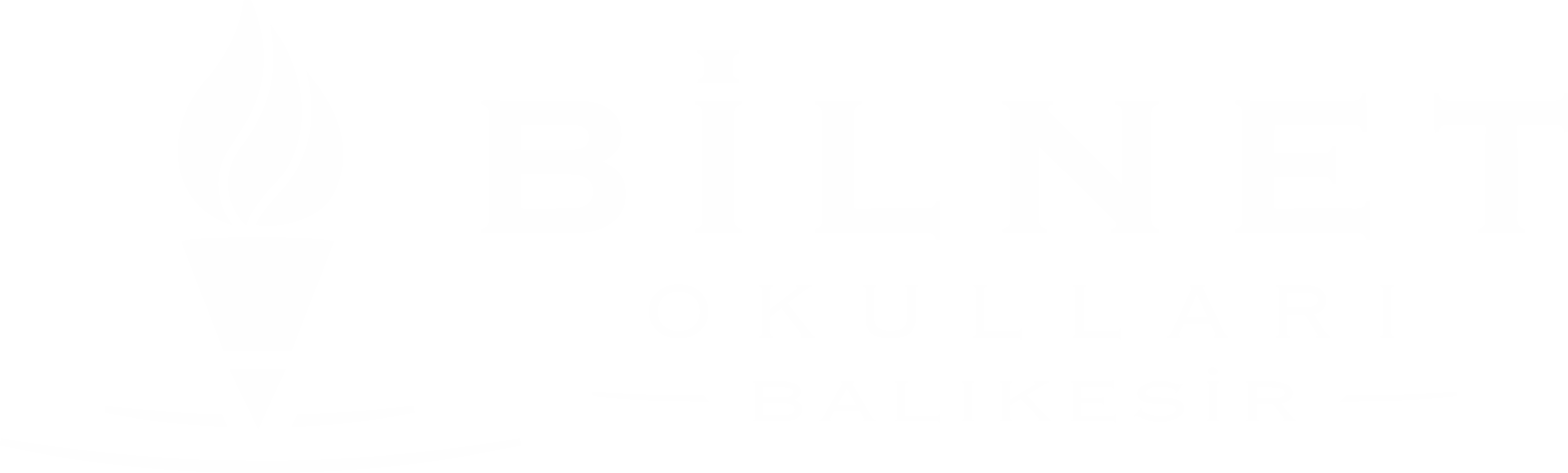 Bilnet Okulları